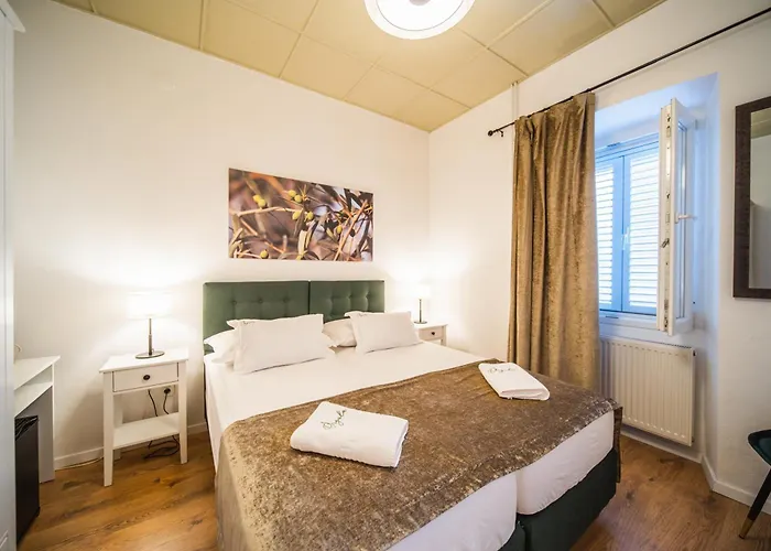 Casa de hóspedes Orgula