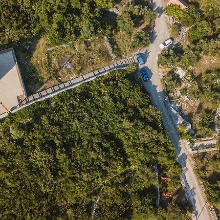 Orgula * ルンバルダ